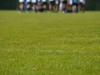 gras-en-spelers-wazig